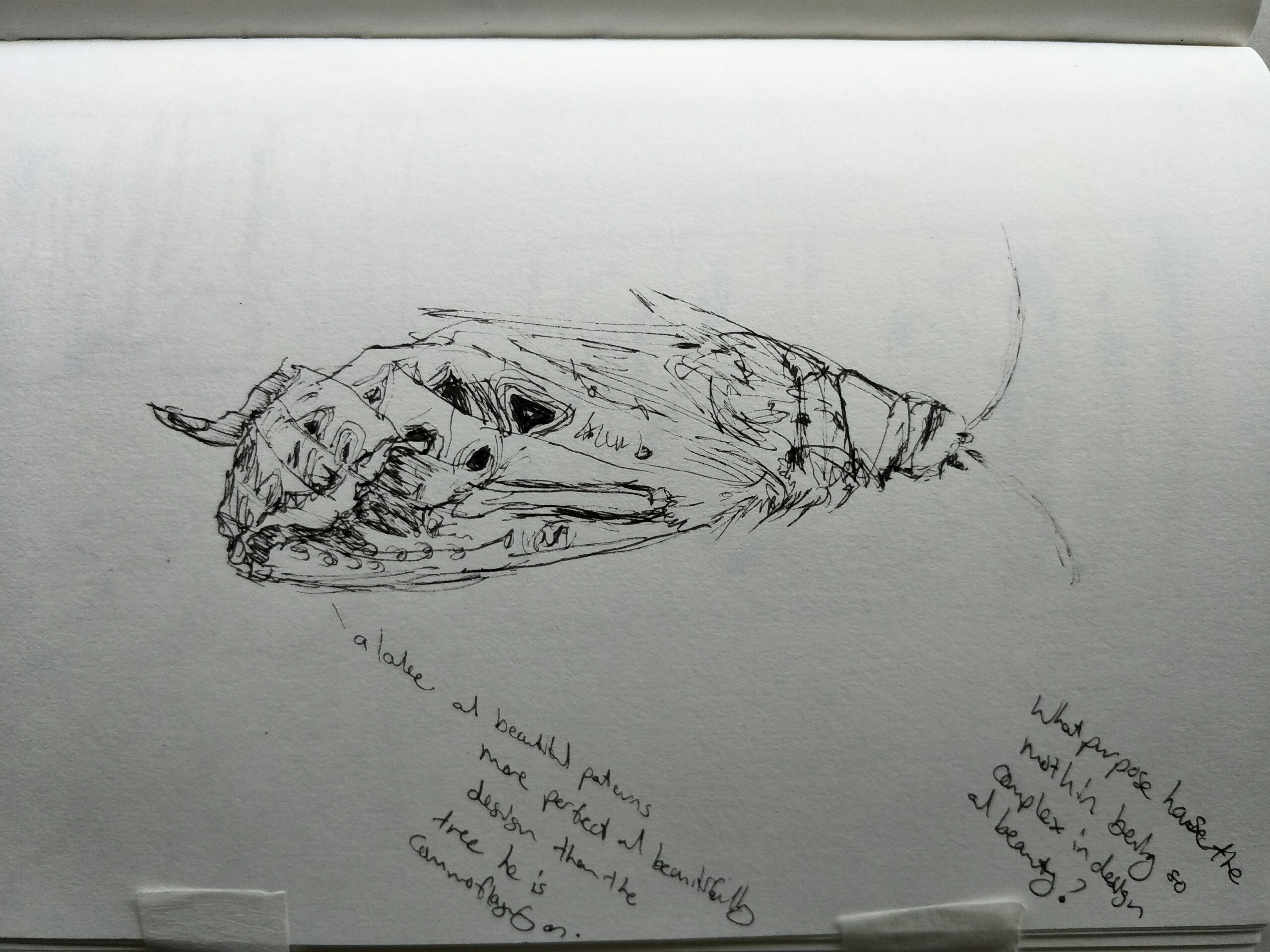 Expressive Drawing - Drop in and Draw Saturday 14th Nov, 10:00am - 12:00pm - Image 3
