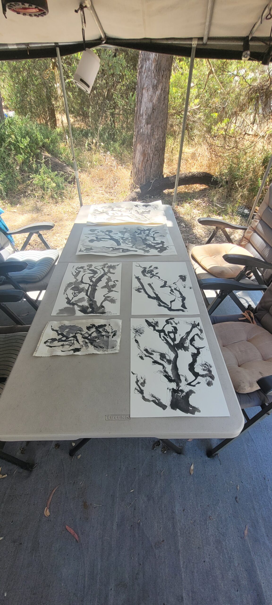 Beach camp studio